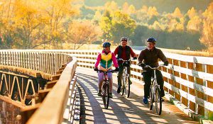 Group biking the Creeper Trail